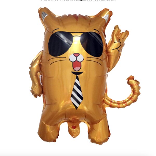 Котик в очках 60х62 см, 10 Евро